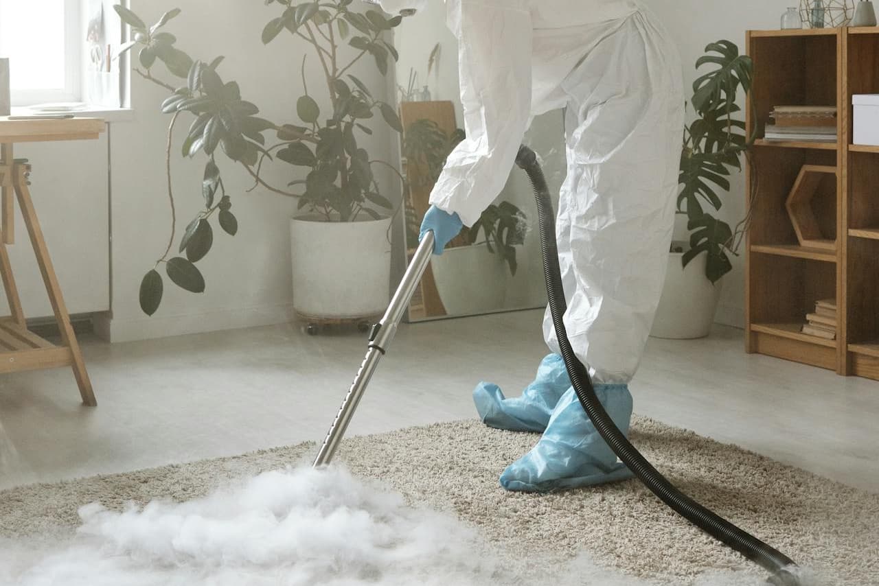 Sofa and carpet cleaning
